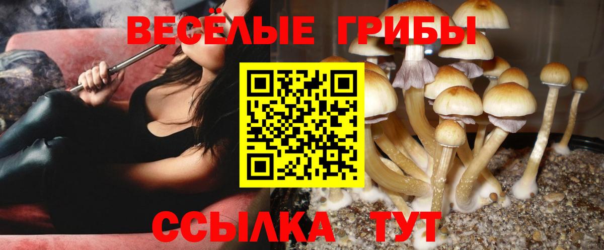Псилоцибиновые грибы Magic Shrooms  Псилоцибиновые грибы ЛСД  Вход с VPN  Баксан 